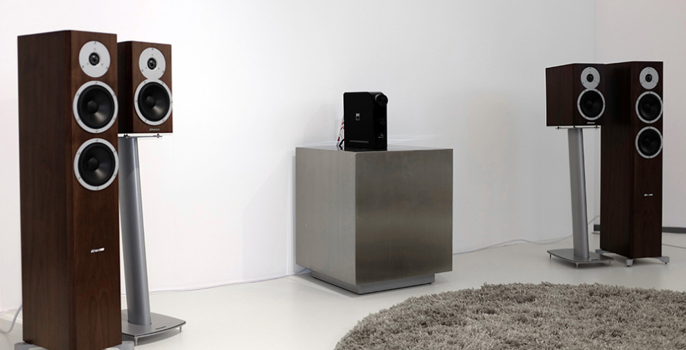 Dynaudio Excite walnut