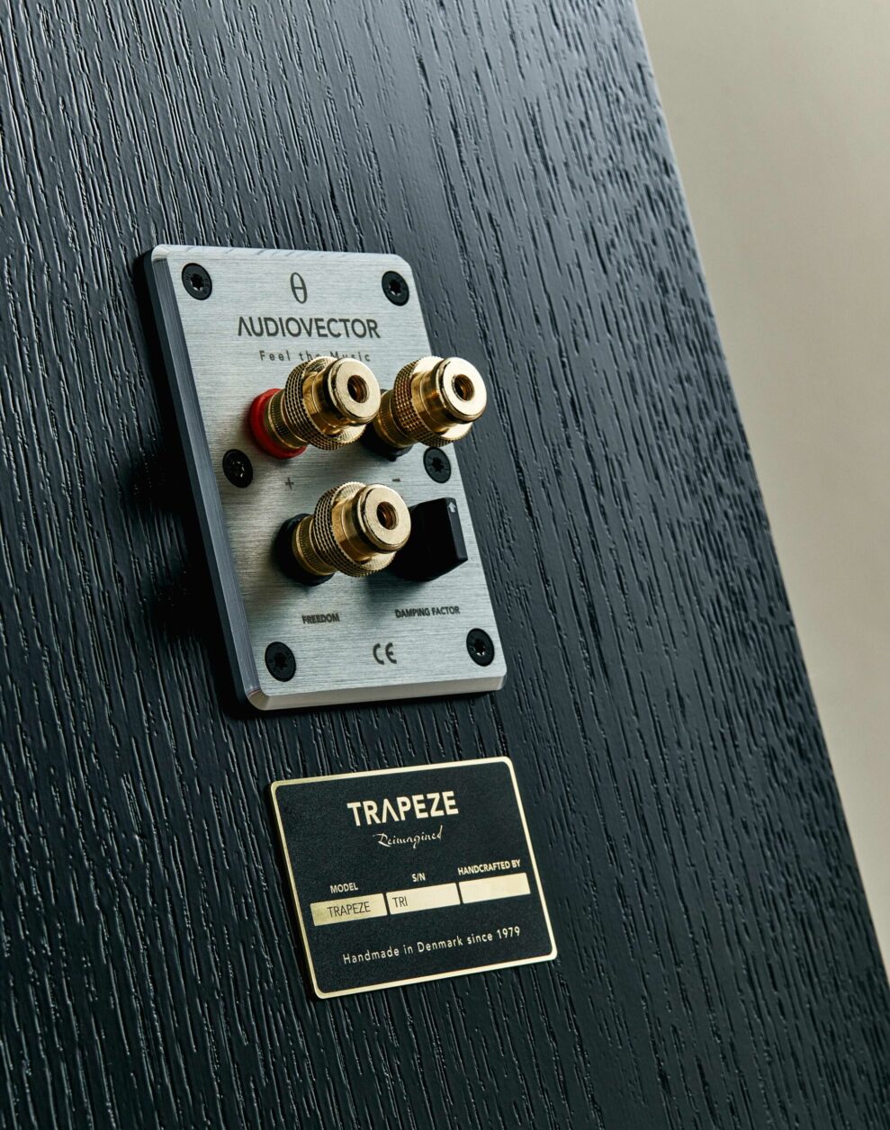 AUDIOVECTOR TRAPEZ58584 c scaled 1