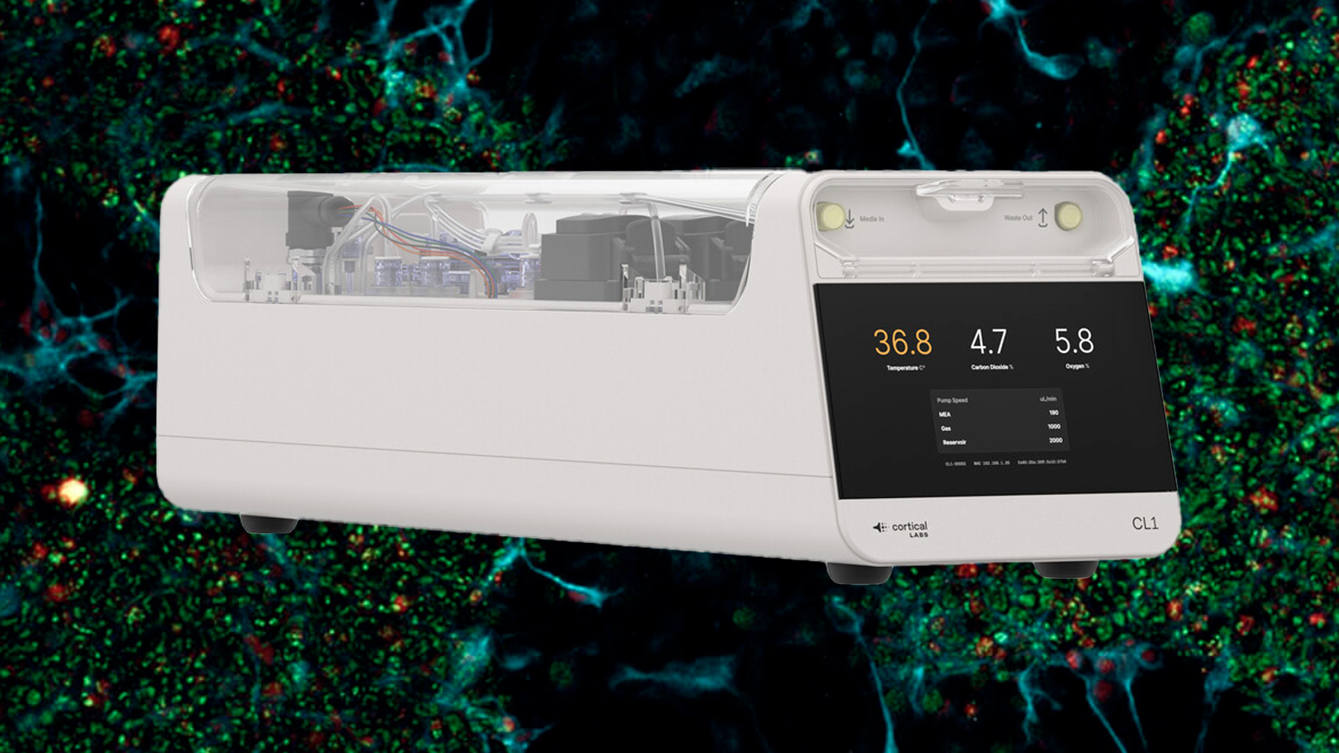 Cortical Labs tillverkar biologisk dator med hjärnceller